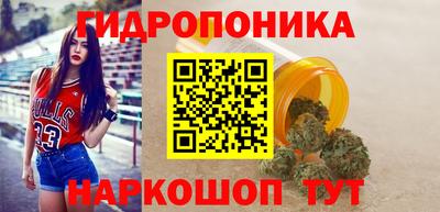 ешки Владимир